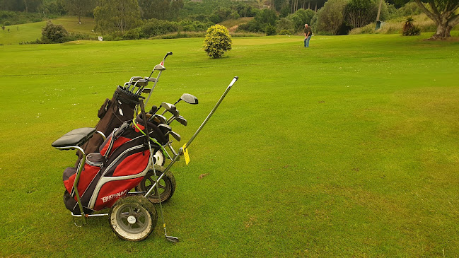 Reviews of Port Chalmers Golf Club in Dunedin - Golf club