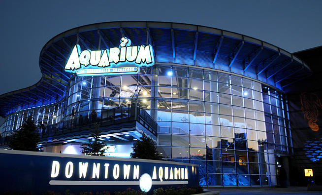 Aquarium Restaurant