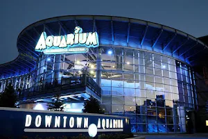 Aquarium Restaurant image