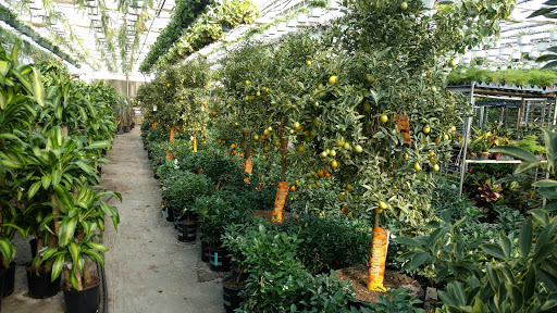 Garden Center «Blooms at Belle Mead», reviews and photos, 1980 US-206, Belle Mead, NJ 08502, USA