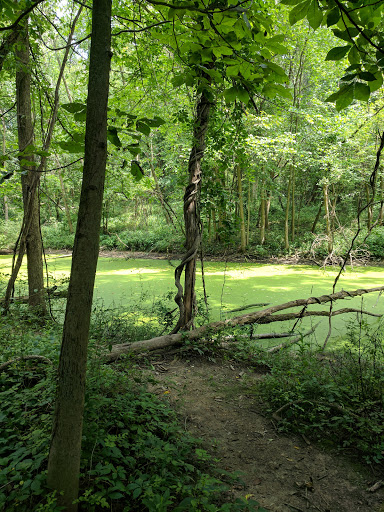 Golf Course «Mink Lake Golf Course», reviews and photos, 636 N Calumet Ave, Valparaiso, IN 46383, USA