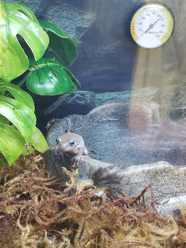 Pet Supply Store «Petco Animal Supplies», reviews and photos, 86 Storrs Rd, Mansfield Center, CT 06250, USA