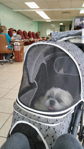 Discount Store «Kmart», reviews and photos, 180 Broadway, Elmwood Park, NJ 07407, USA