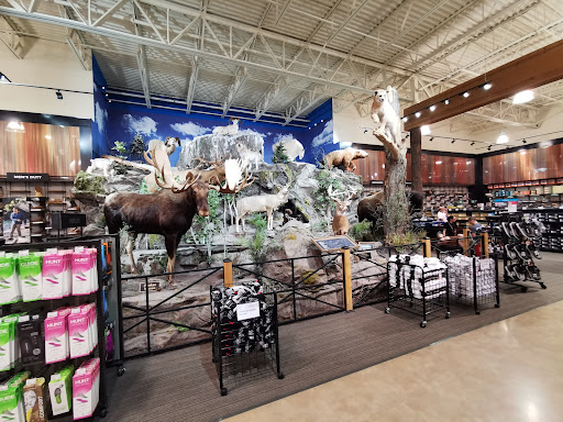 Sportsman's Warehouse