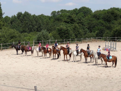 Ecurie des Crêtes JC équitation à Saint-Remy