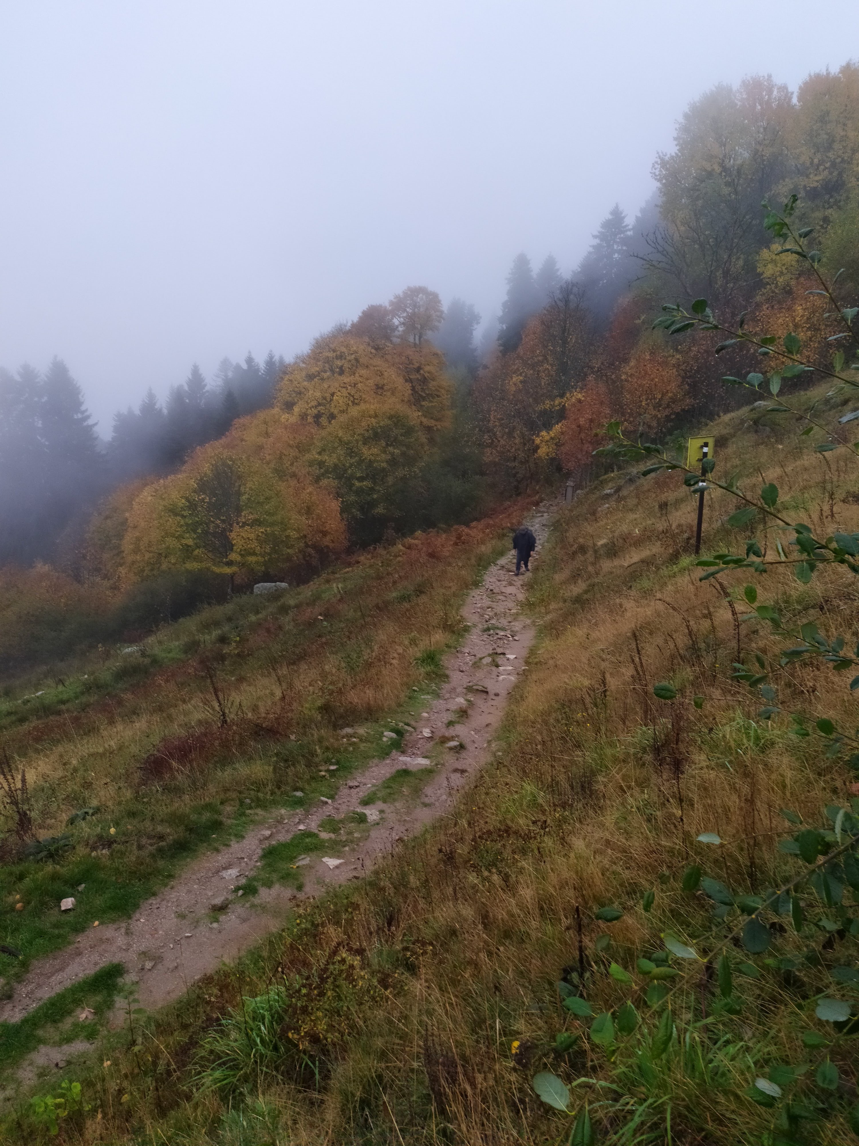 Photo n° 11 de l'avis de Eric.o fait le 03/11/2019 à 17:33