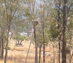 Recreativo Bosques de San Sebastián Park photo
