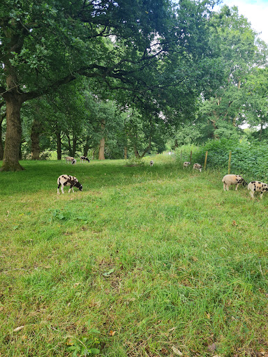 South London Downs National Nature Reserve