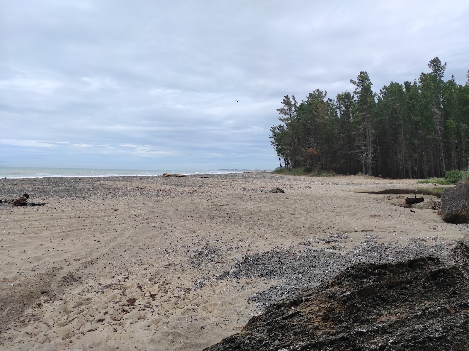 Photo of Teviotdale Beach located in natural area