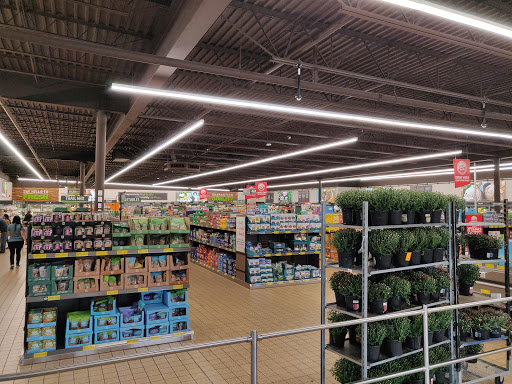 Supermarket «ALDI», reviews and photos, 5525 IL-53, Lisle, IL 60532, USA