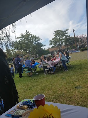 Foisia Park - photo 34