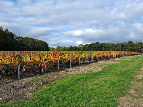 Vignoble des Fougères à Civray-de-Touraine