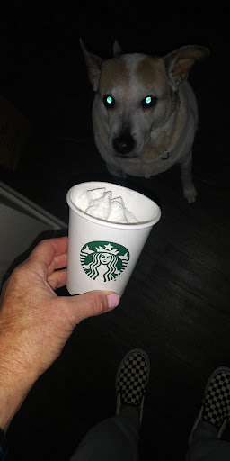 Starbucks image