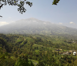 Rest Area Wonolelo photo