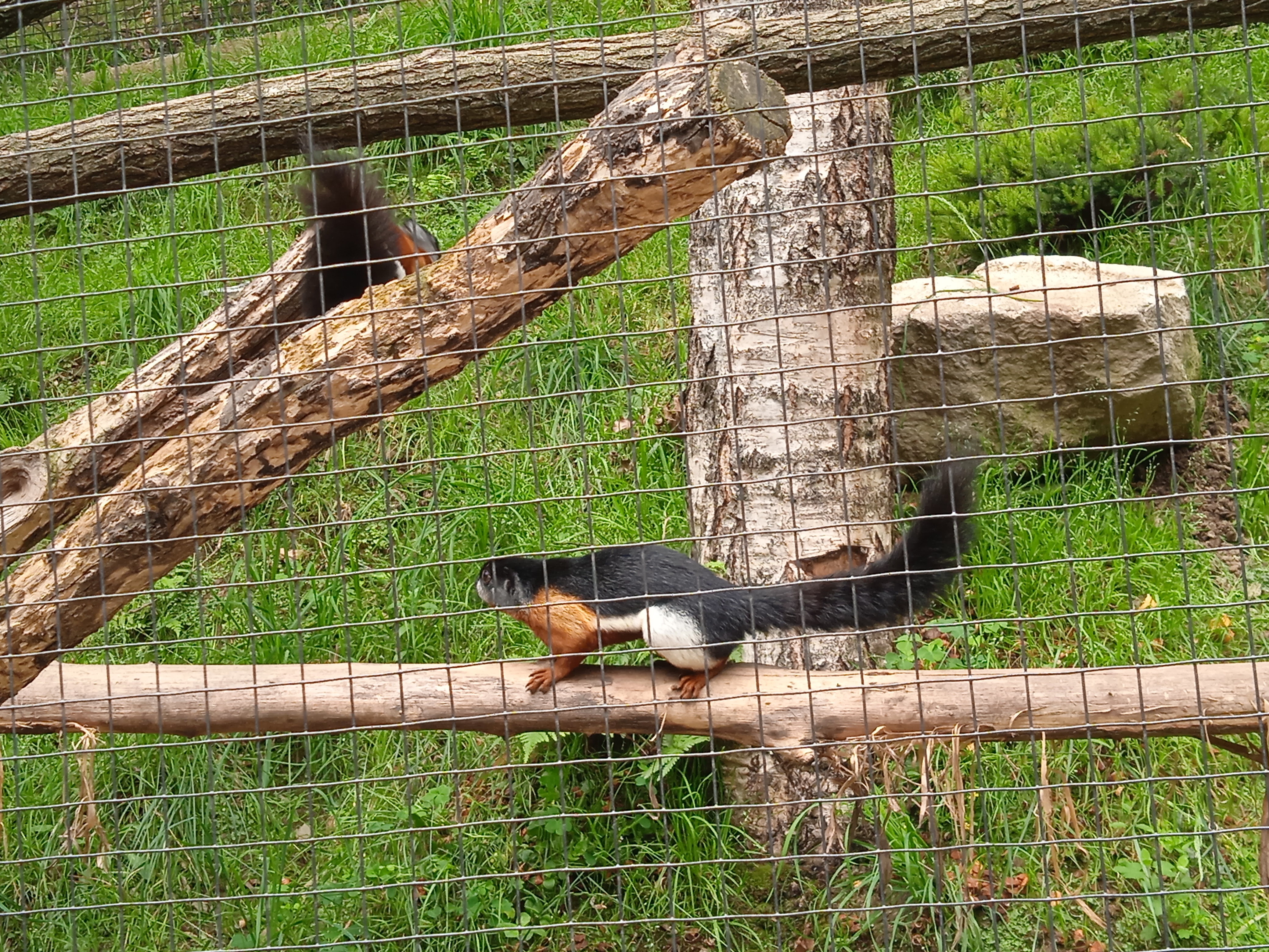 Photo n° 7 de l'avis de Gamer.p fait le 04/06/2022 à 18:21