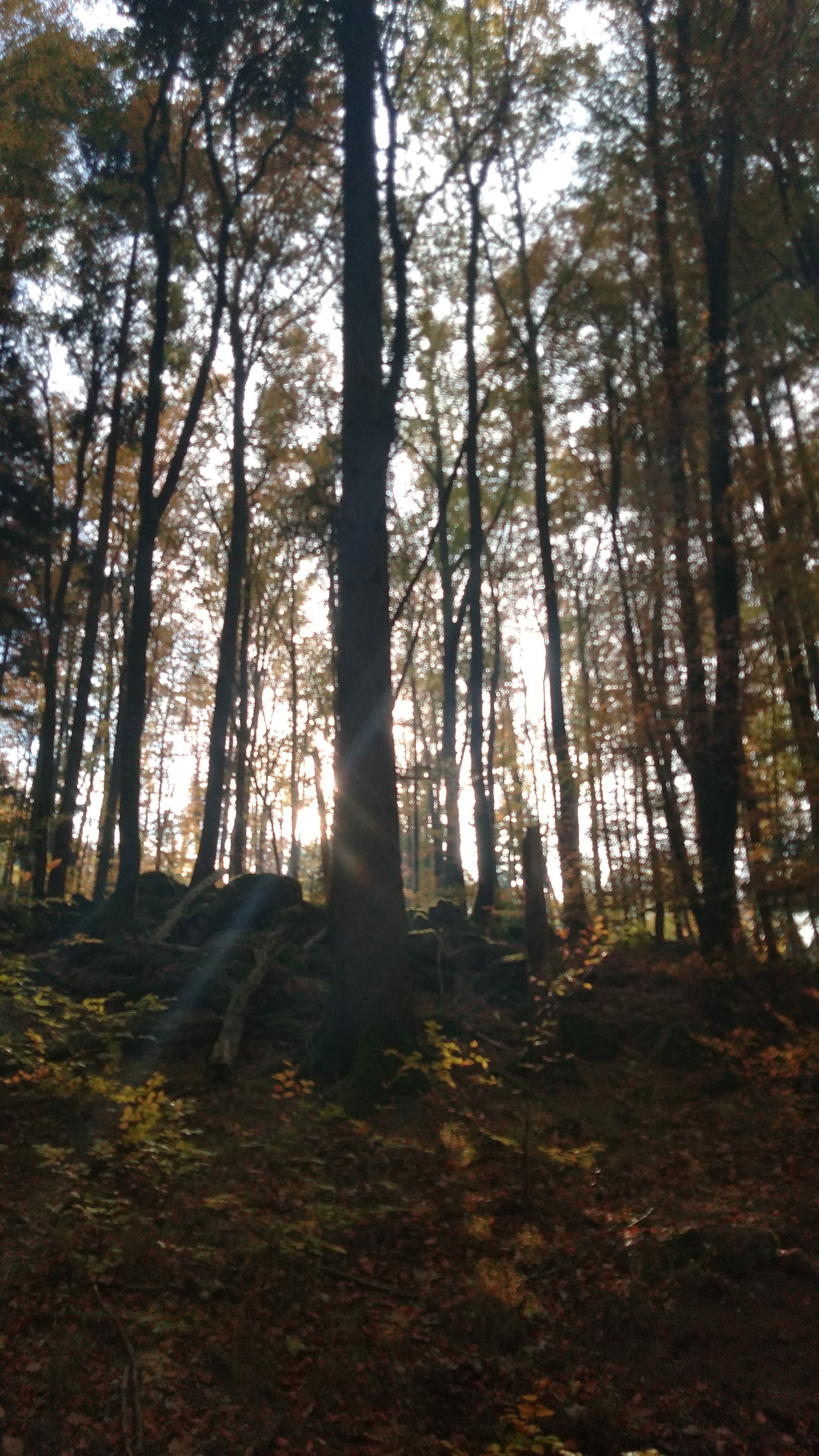Photo n° 13 de l'avis de christophe.e fait le 04/11/2018 à 17:10