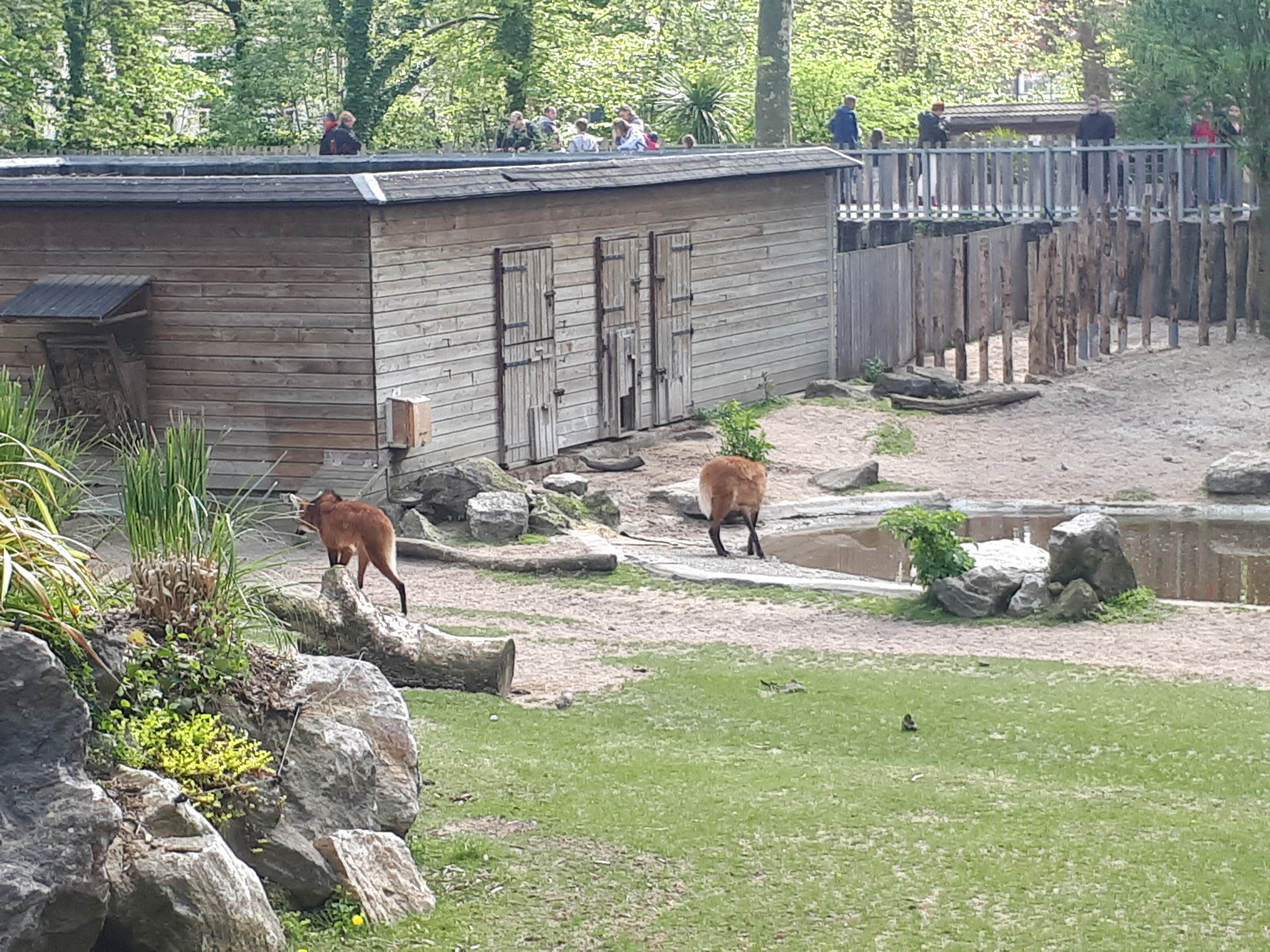 Photo n° 1 de l'avis de Morgane.r fait le 07/05/2018 à 21:00