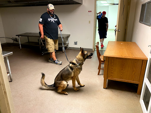 American K-9 Interdiction