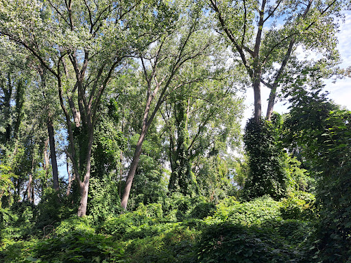 Park «Millennium Park», reviews and photos, 300 Gardner Street, West Roxbury, MA 02132, USA