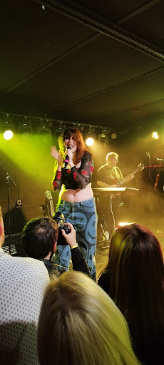 Lounge «Mercury Lounge», reviews and photos, 217 E Houston St, New York, NY 10002, USA