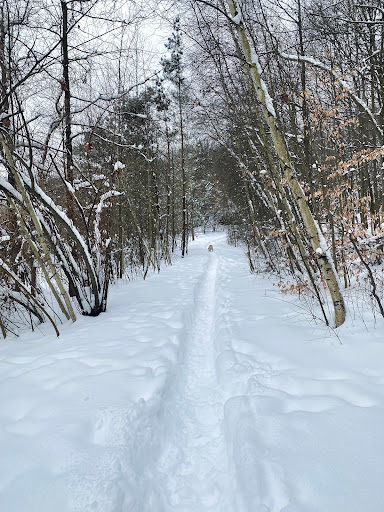 Park «Copley Community Park», reviews and photos, 3232 Copley Rd, Akron, OH 44321, USA