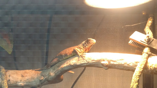 Pet Store «Pet Central», reviews and photos, 1200 Smallhouse Rd, Bowling Green, KY 42104, USA