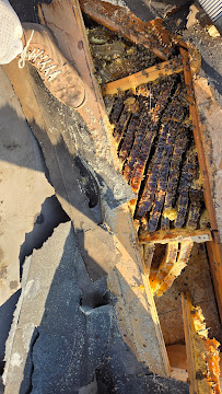 Holy Bee - Photo 7 - Car repair in Newbury Park, CA, Thousand Oaks