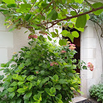 Photo n° 6 de l'avis de Annie.o fait le 29/05/2022 à 17:27 pour HOTEL DIDEROT à Chinon