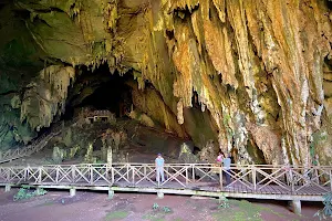 Cave of the Owls image