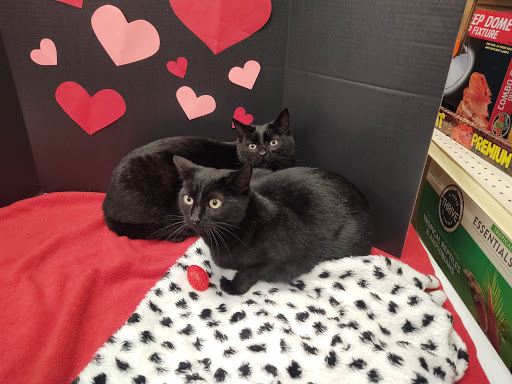 Pet Supply Store «PetSmart», reviews and photos, 8175 Arbor Square Dr, Mason, OH 45040, USA