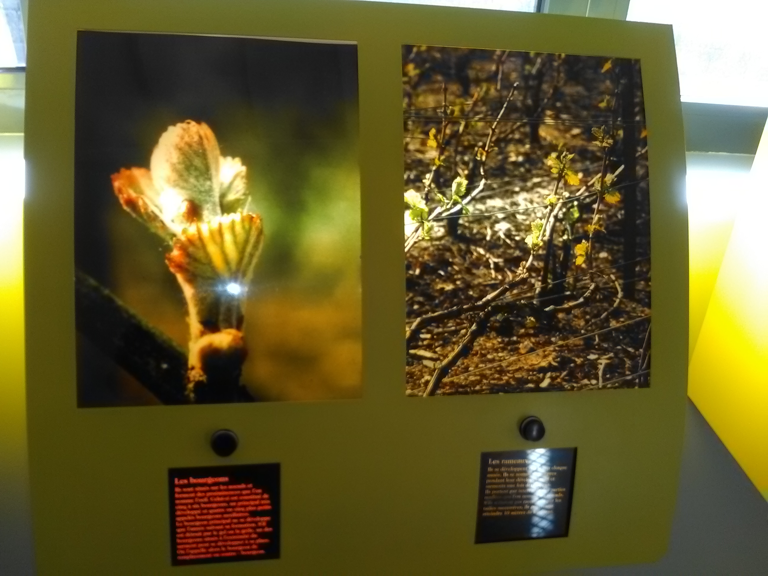 Photo n° 25 de l'avis de Athéna.e fait le 15/08/2017 à 06:29