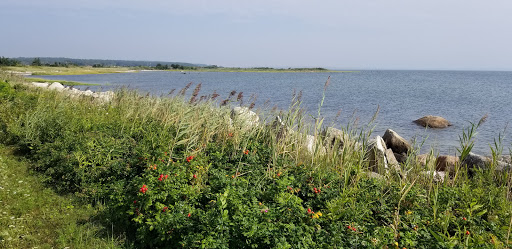 Golf Course «The Kittansett Club», reviews and photos, 11 Point Rd, Marion, MA 02738, USA