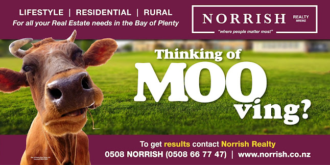 Reviews of Norrish Realty in Tauranga - Real estate agency