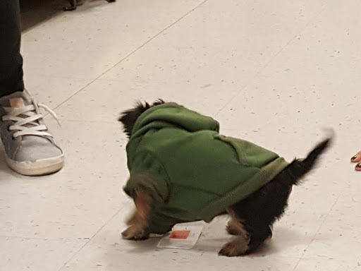 Pet Supply Store «PetSmart», reviews and photos, 3081 S 5600 W, Salt Lake City, UT 84120, USA