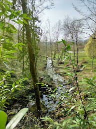 Photo n°12 de Source Bergeret à Vaire ()