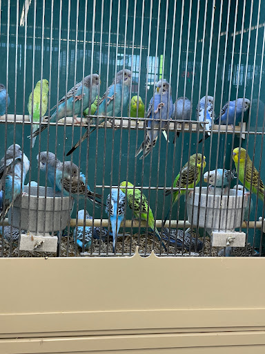 Pet Supply Store «Pet Express», reviews and photos, 180 Commercial St, Lynn, MA 01905, USA