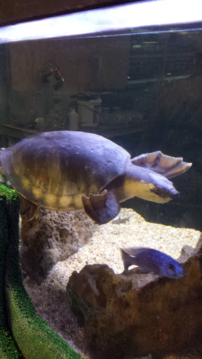 Aquarium «Jays Aquatics», reviews and photos, 10 Lawrence Rd, Salem, NH 03079, USA