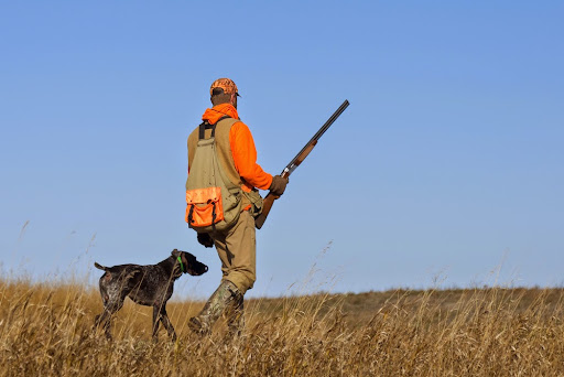 Gun Shop «A. W. Peterson Gun Shop», reviews and photos, 4255 W Old US Hwy 441, Mt Dora, FL 32757, USA