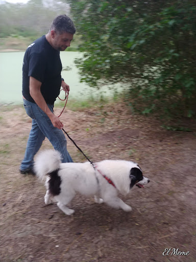 Park «Hugh Ramsey Nature Park», reviews and photos, 1000 TX-499 Loop, Harlingen, TX 78550, USA