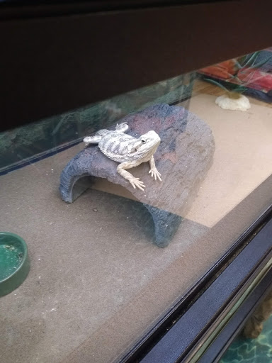 Pet Supply Store «Petco Animal Supplies», reviews and photos, 103 Commerce Way a, Woburn, MA 01801, USA