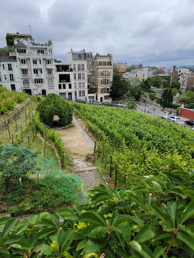Albariño wineries Paris