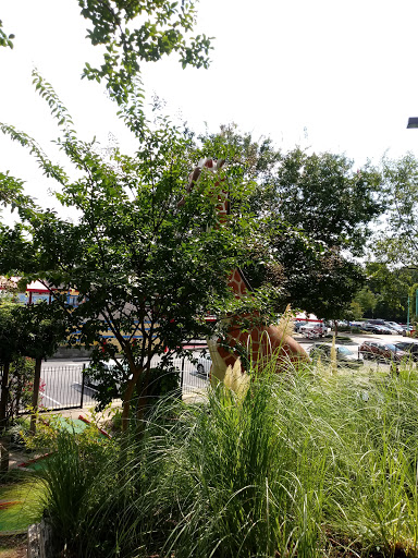 Amusement Park «Adventure Landing Raleigh», reviews and photos, 3311 Capital Blvd, Raleigh, NC 27604, USA