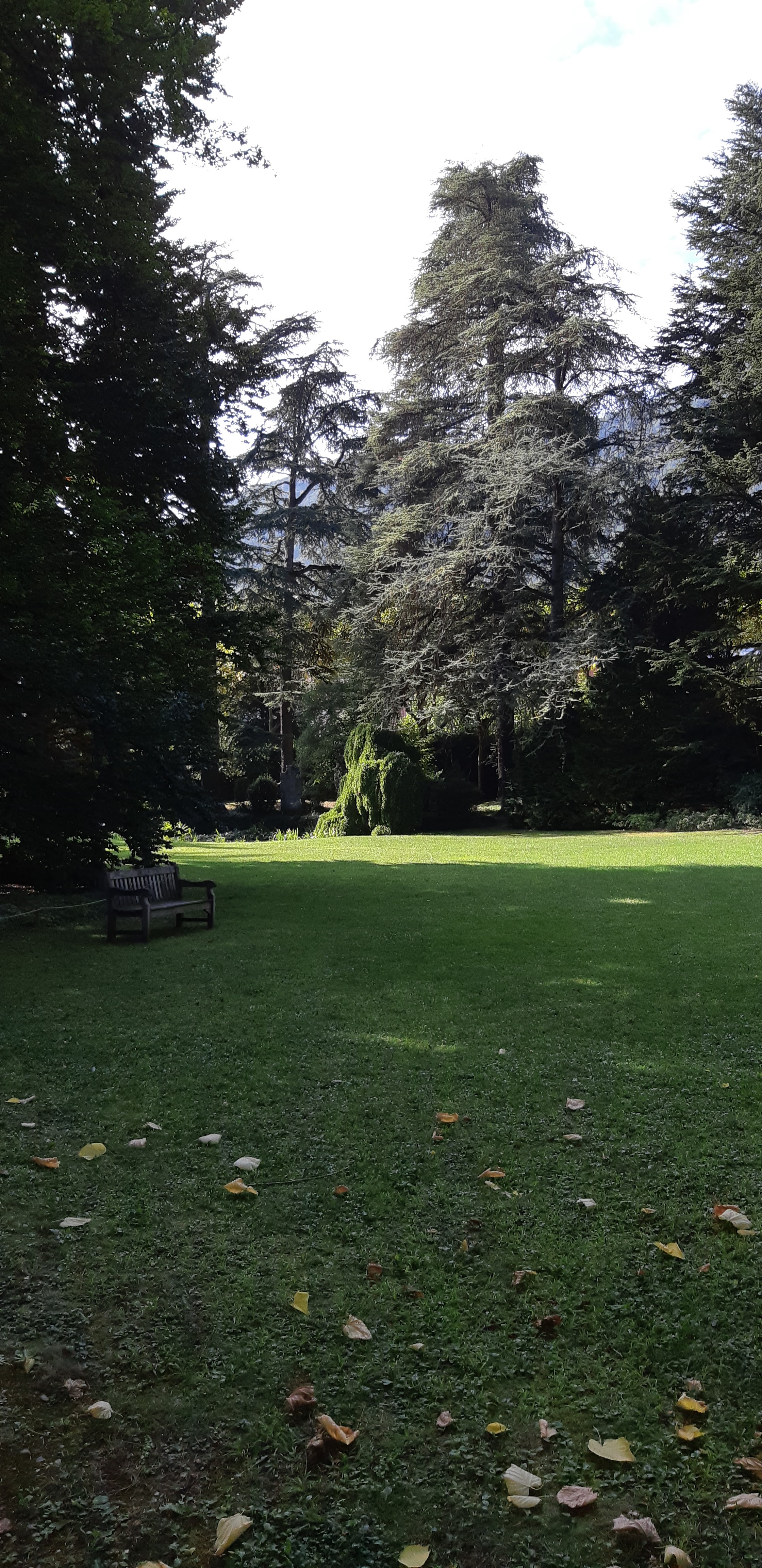 Photo n° 2 de l'avis de Régis.o fait le 21/09/2019 à 18:38