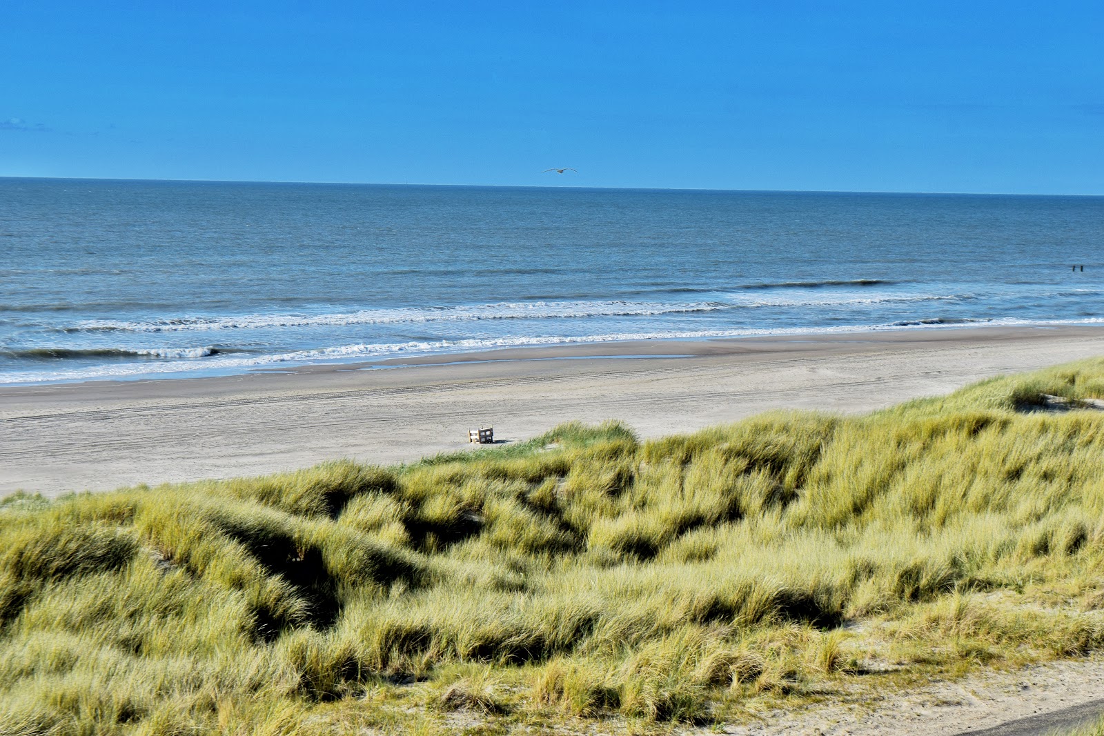 Photo of Oostkapelle Beach with long straight shore