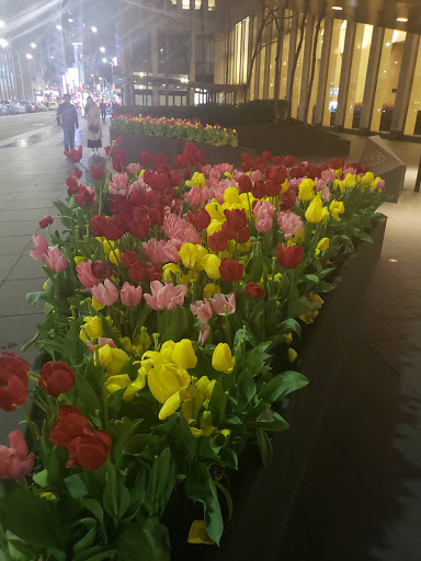 Performing Arts Theater «Radio City Music Hall», reviews and photos, 1260 6th Ave, New York, NY 10020, USA