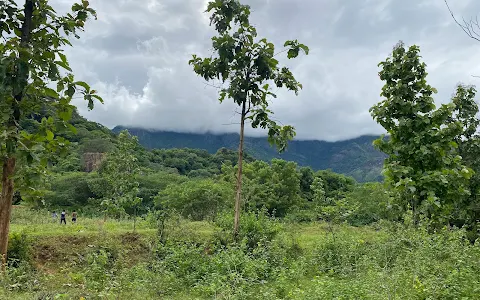 Srivilliputhur Grizzled Squirrel Wildlife Sanctuary image