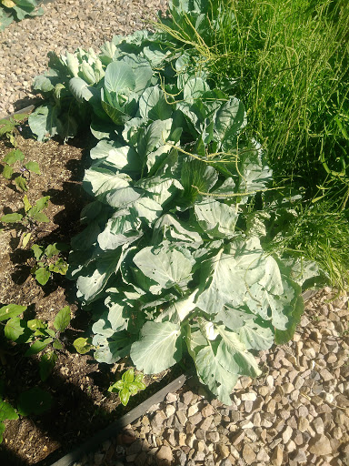 Shopping Mall «Papago Plaza Shopping Center», reviews and photos, 1408 N Scottsdale Rd, Scottsdale, AZ 85257, USA