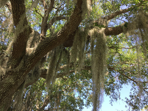 Golf Club «Tara Golf & Country Club», reviews and photos, 6602 Drewrys Bluff, Bradenton, FL 34203, USA