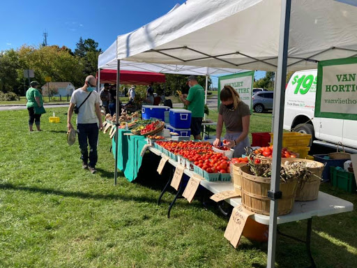 Just Food Farm Stand - local and organic