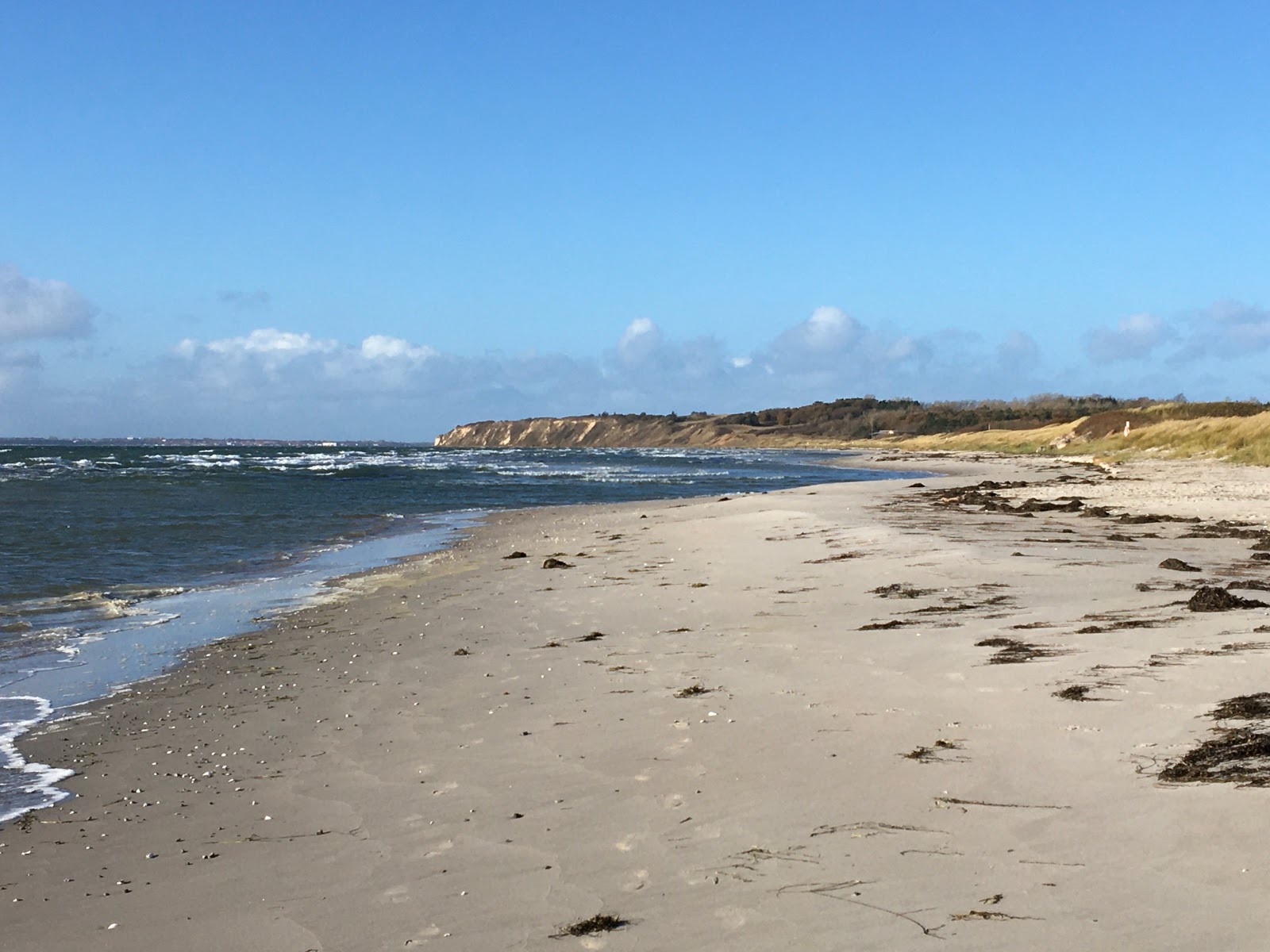 Foto de Bjornhoj Beach e o assentamento